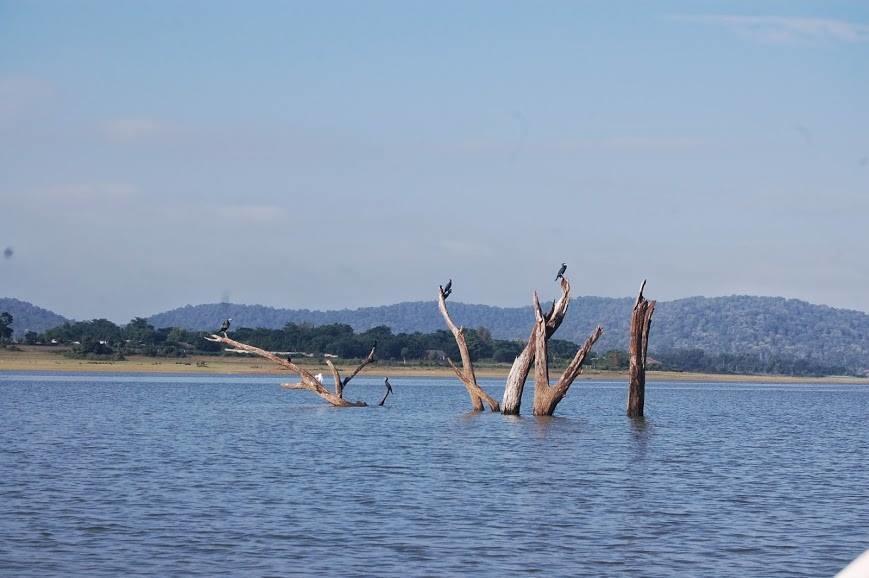 The Peepal Tree, Kabini Begur ภายนอก รูปภาพ