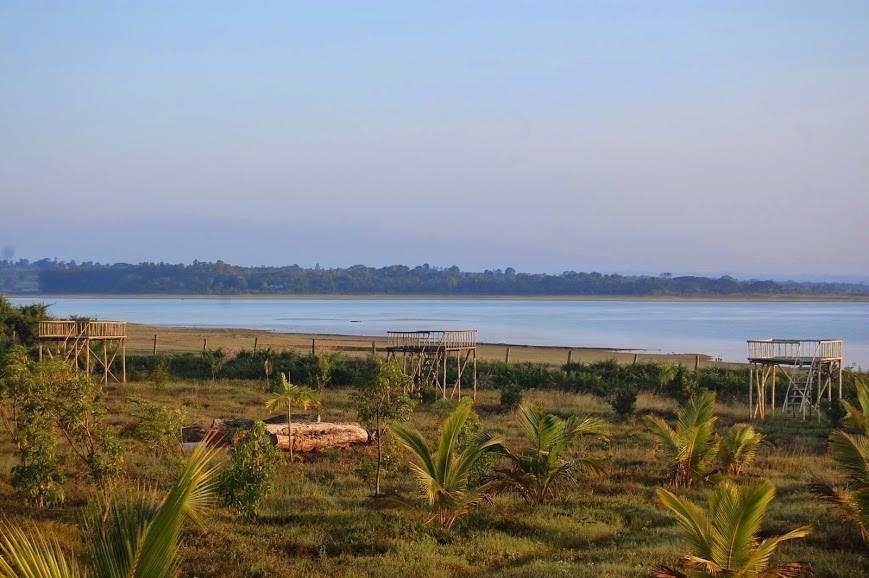 The Peepal Tree, Kabini Begur ภายนอก รูปภาพ