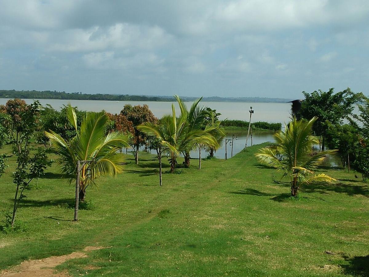 The Peepal Tree, Kabini Begur ภายนอก รูปภาพ